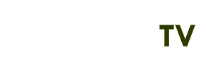 cách chơi roblox